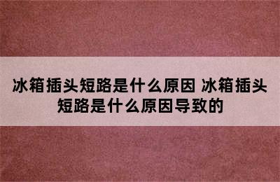 冰箱插头短路是什么原因 冰箱插头短路是什么原因导致的